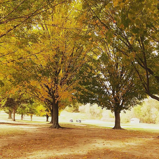 Golf Course «Chemung Hills Golf Club & Banquet Center», reviews and photos, 3125 Golf Club Rd, Howell, MI 48843, USA