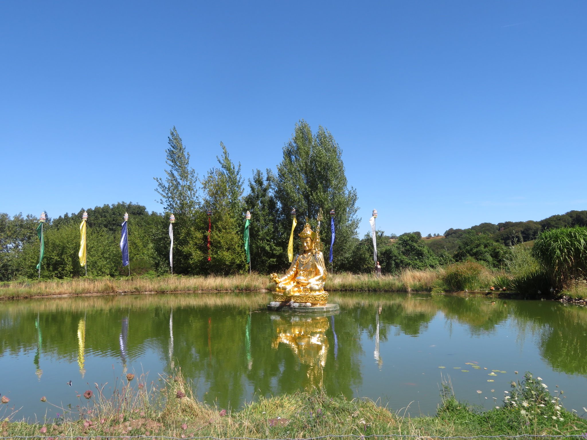 Photo n° 15 de l'avis de Marie.l fait le 20/09/2020 à 20:37