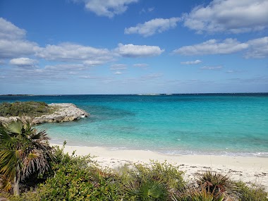 Iguana Beach