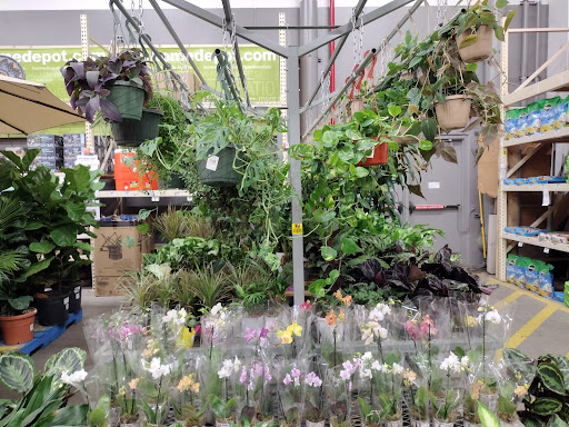 Home Improvement Store «The Home Depot», reviews and photos, 601 Woollomes Ave, Delano, CA 93215, USA