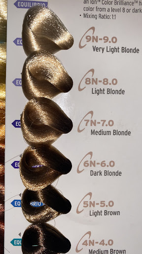 Beauty Supply Store «Sally Beauty», reviews and photos, 1900 E University Dr #23, Mesa, AZ 85203, USA