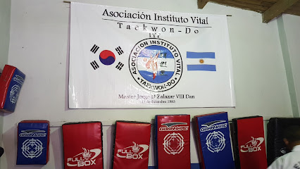 Instituto Vital Taekwon-Do