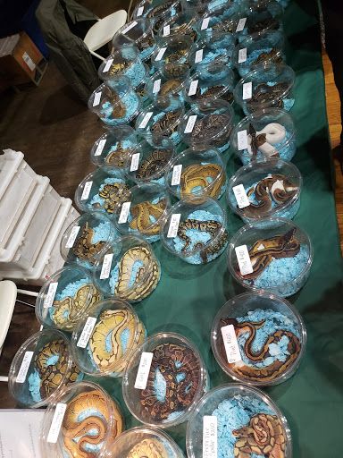 Event Venue «Rochester Main Street Armory», reviews and photos, 900 E Main St, Rochester, NY 14605, USA