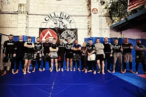 Cill Dara Martial Arts Academy image