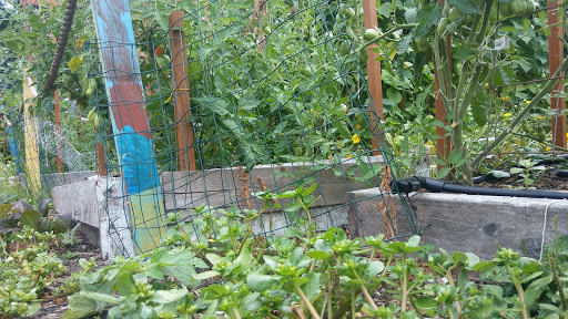 Community Center «MLK Fame Community Center», reviews and photos, 3201 E Republican St, Seattle, WA 98112, USA