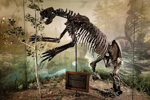 Ancient Ozarks Natural History Museum image