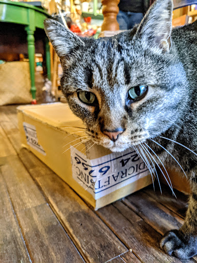 Gift Shop «Twigs & Teacups», reviews and photos, 111 S Cross St, Chestertown, MD 21620, USA