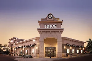 Trice Jewelers image