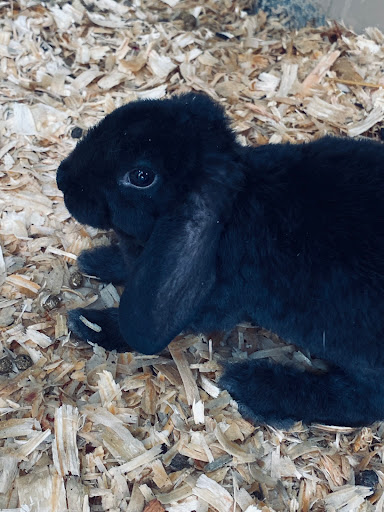 Zoo «ZooWorld Zoological and Botanical Conservatory», reviews and photos, 9008 Front Beach Rd, Panama City Beach, FL 32407, USA