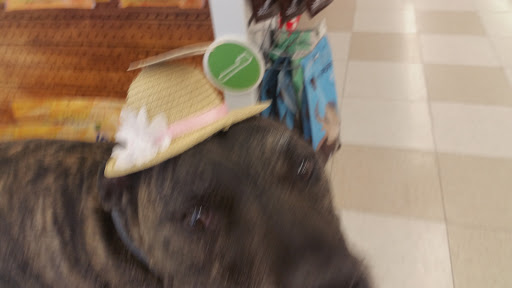 Pet Supply Store «Petco Animal Supplies», reviews and photos, 12163 Sheridan Blvd, Broomfield, CO 80020, USA