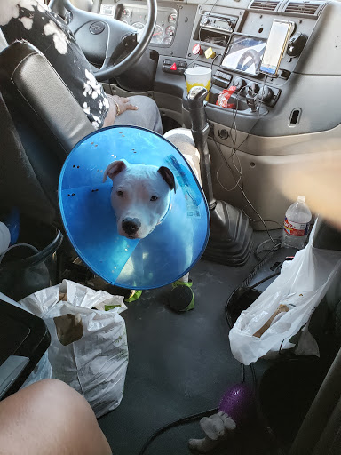 Pet Supply Store «PetSmart», reviews and photos, 4005 Airport Fwy, Irving, TX 75062, USA