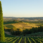 Photo n°4 de l'avis de W. fait le 12/09/2017 à 14:00 sur le  Castello Banfi - Il Borgo à Poggio alle Mura