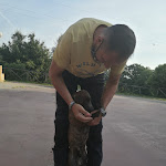 Photo n°1 de l'avis de Roberto.a fait le 19/06/2021 à 20:17 sur le  LA LOCANDA DEL PRINCIPE à Soriano Nel Cimino