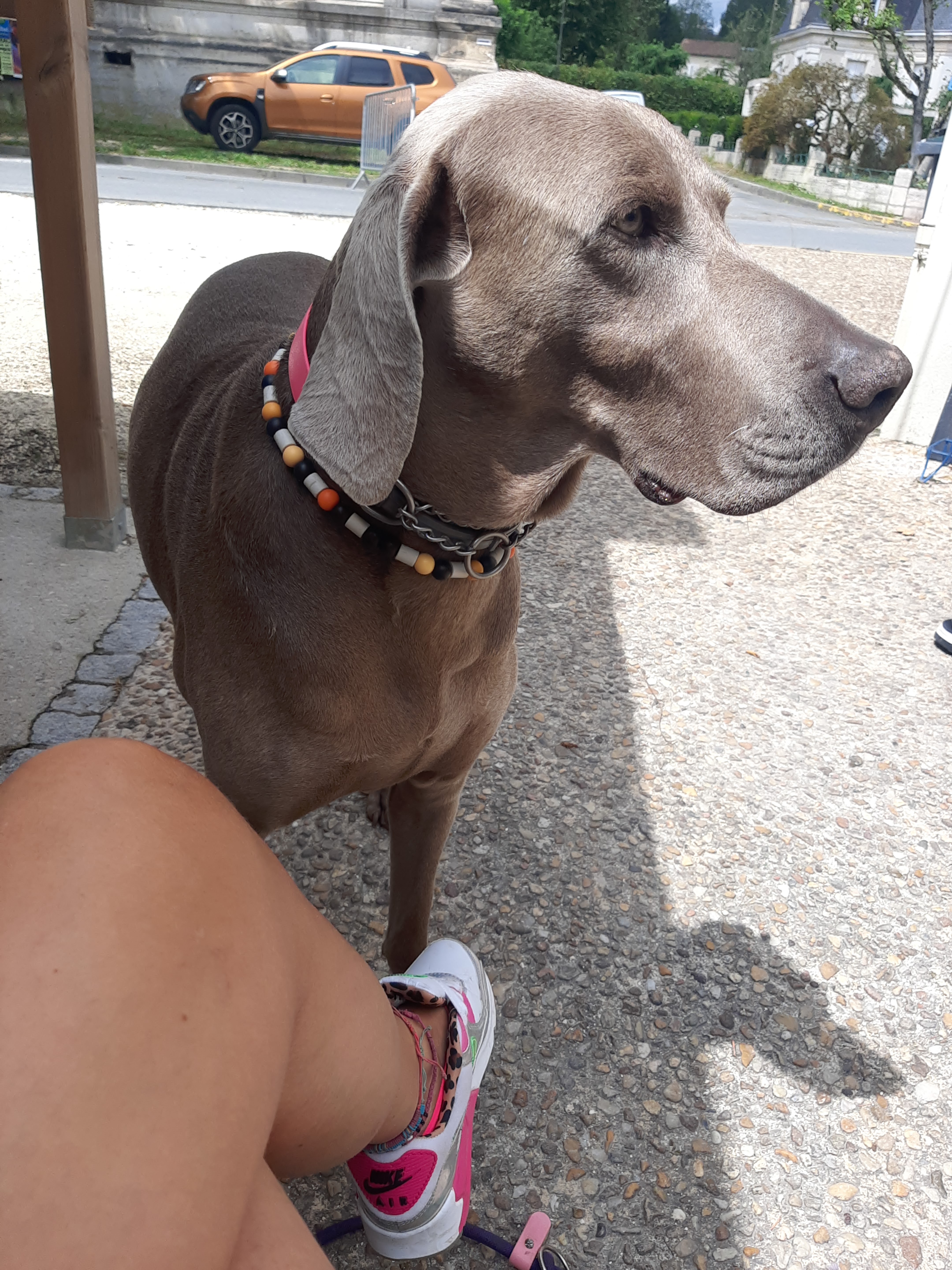 Photo n° 1 de l'avis de Stefy.h fait le 25/06/2022 à 11:24