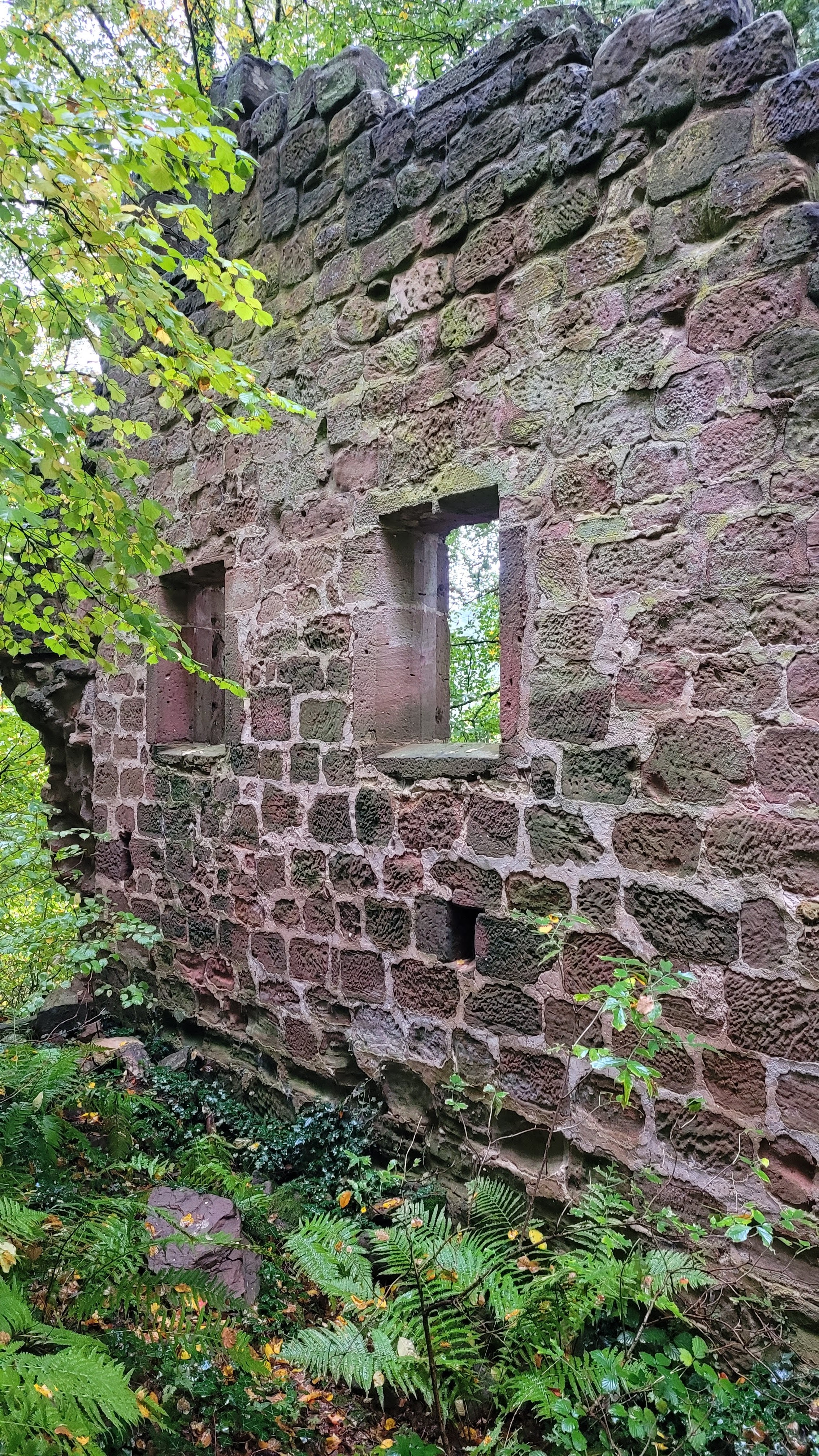 Photo n° 15 de l'avis de Verena.a fait le 31/10/2023 à 09:18