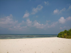 Zdjęcie Velaa Beach z przestronna linia brzegowa