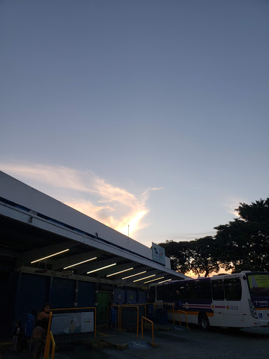 Logo da empresa - Pássaro Marron
