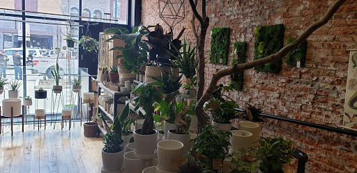 Gift Shop «Moss - Iowa City», reviews and photos, 112 E Washington St, Iowa City, IA 52240, USA