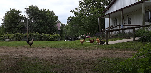 Winery «Grace Hill Winery», reviews and photos, 6310 S Grace Hill Rd, Whitewater, KS 67154, USA