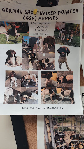 Home Improvement Store «Tractor Supply Co.», reviews and photos, 860 Jack Tone Rd, Ripon, CA 95366, USA