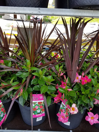 Home Improvement Store «The Home Depot», reviews and photos, 6199 Wilson Mills Rd, Highland Heights, OH 44143, USA