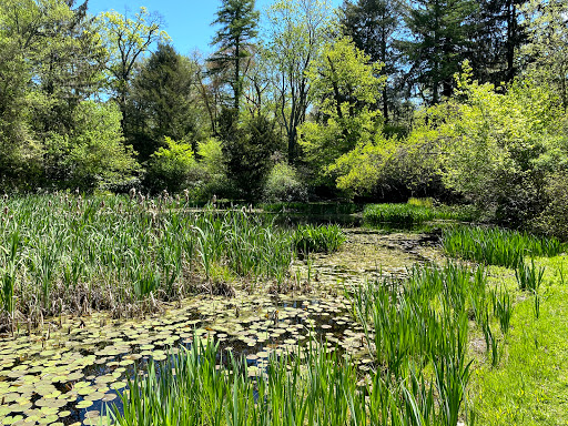 Nature Preserve «Muttontown Preserve», reviews and photos, Jericho-Oyster Bay Road, East Norwich, NY 11732, USA