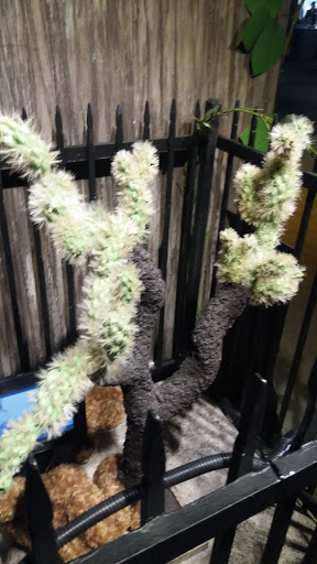 Science Museum «Adventure Science Center», reviews and photos, 800 Fort Negley Blvd, Nashville, TN 37203, USA