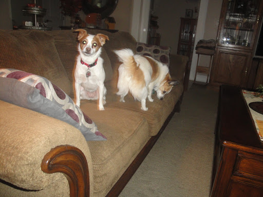 1151 E Fairview Ave, Meridian, ID 83642, USA