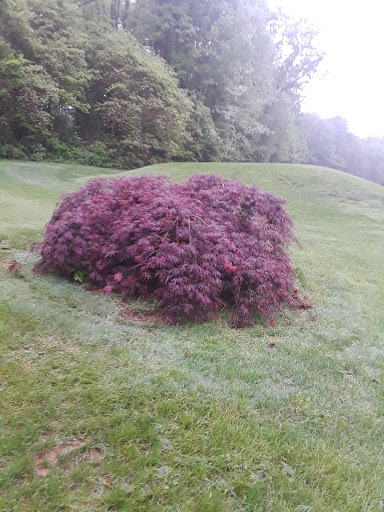 Country Club «Coatesville Country Club», reviews and photos, 143 Reservoir Rd, Coatesville, PA 19320, USA