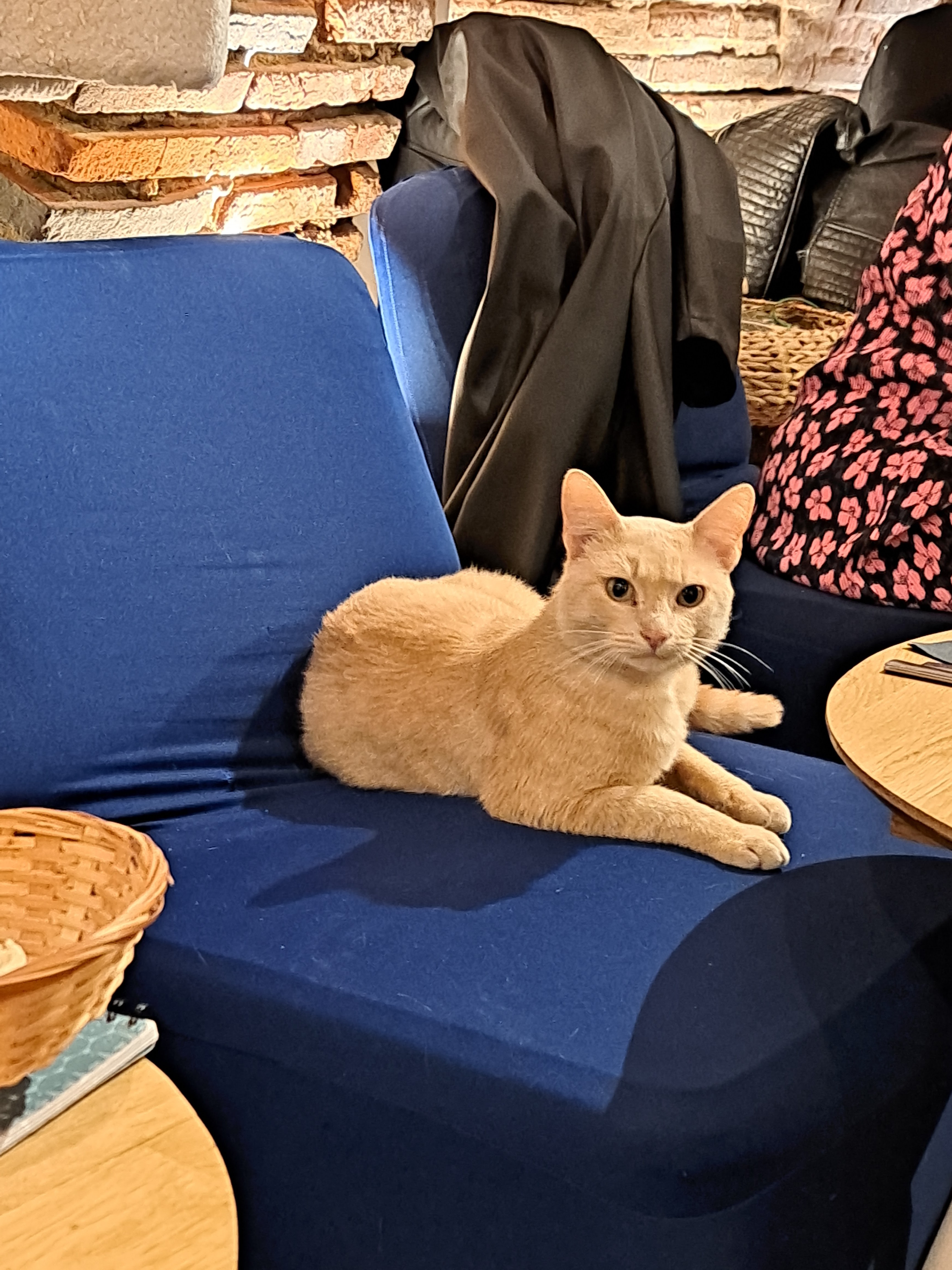 Photo n° 2 de l'avis de Baptiste.I fait le 19/04/2023 à 14:07