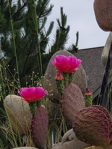 Park «South Platte Park and Carson Nature Center», reviews and photos, 3000 W Carson Dr, Littleton, CO 80120, USA