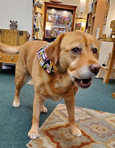 Used Book Store «Time Enough Books», reviews and photos, 157 Howerton Ave SE # A, Ilwaco, WA 98624, USA