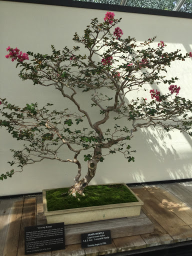 Department Store «Marshalls», reviews and photos, 1431 NY-300, Newburgh, NY 12550, USA