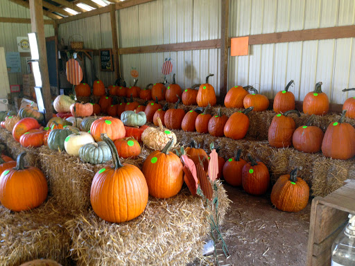 Tourist Attraction «Mitcham Farm», reviews and photos, 797 W Macedonia Church Rd, Oxford, GA 30054, USA