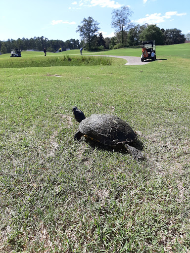 Public Golf Course «Traces Golf Club & Shankers Grille», reviews and photos, 4322 Southborough Rd, Florence, SC 29501, USA