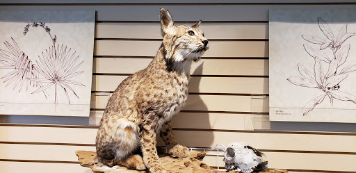 Non-Profit Organization «Westcave Outdoor Discovery Center», reviews and photos, 24814 Hamilton Pool Rd, Round Mountain, TX 78663, USA