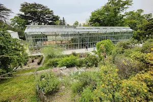 Lausanne Botanical Garden image