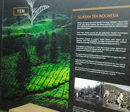 Museum Perkebunan Indonesia photo