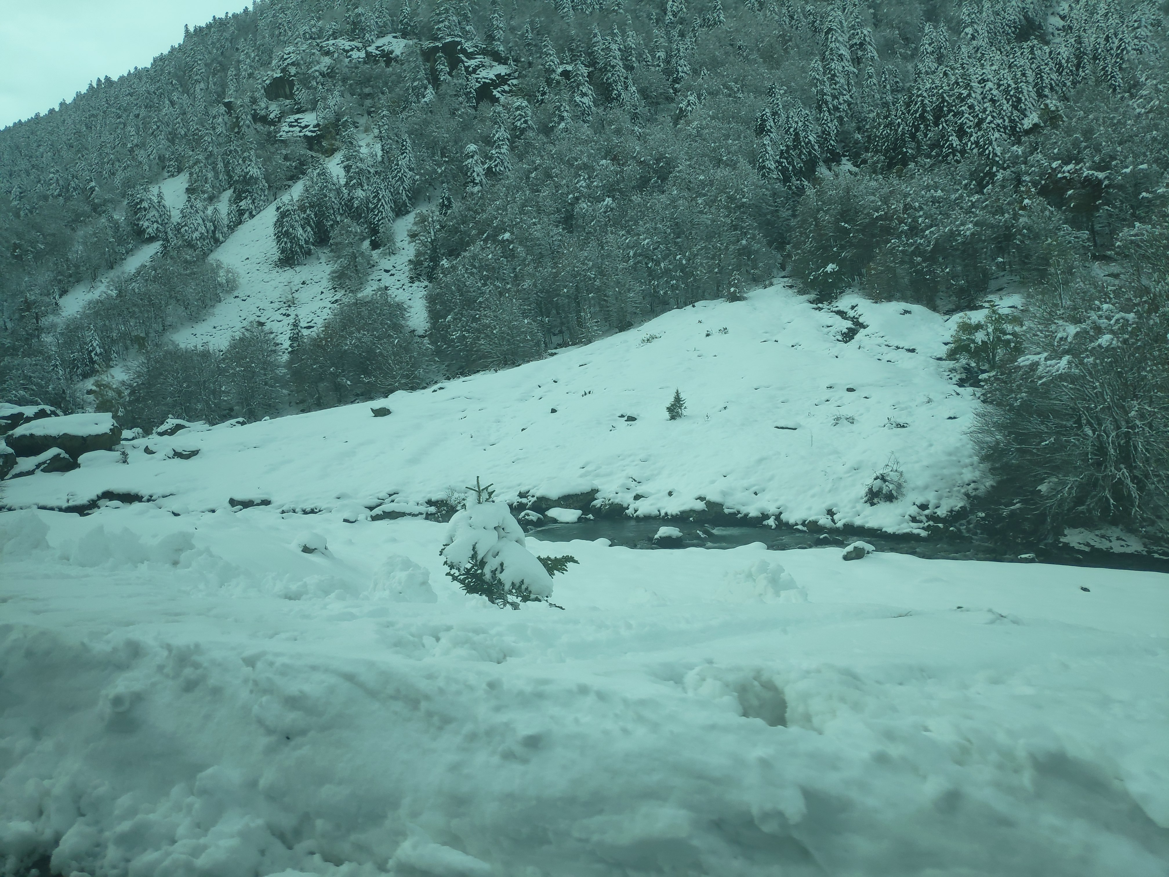 Photo n° 8 de l'avis de ZerK1nG. fait le 11/11/2019 à 14:53