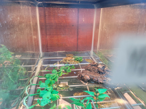 Pet Supply Store «Pet Bazaar», reviews and photos, 490 FL-436, Casselberry, FL 32707, USA