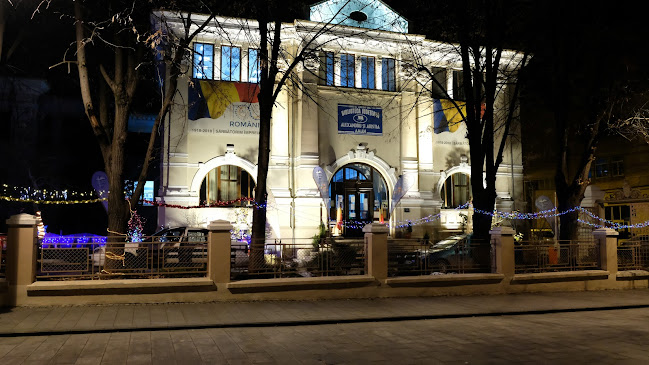 Biblioteca Județeană Alexandru și Aristia Aman