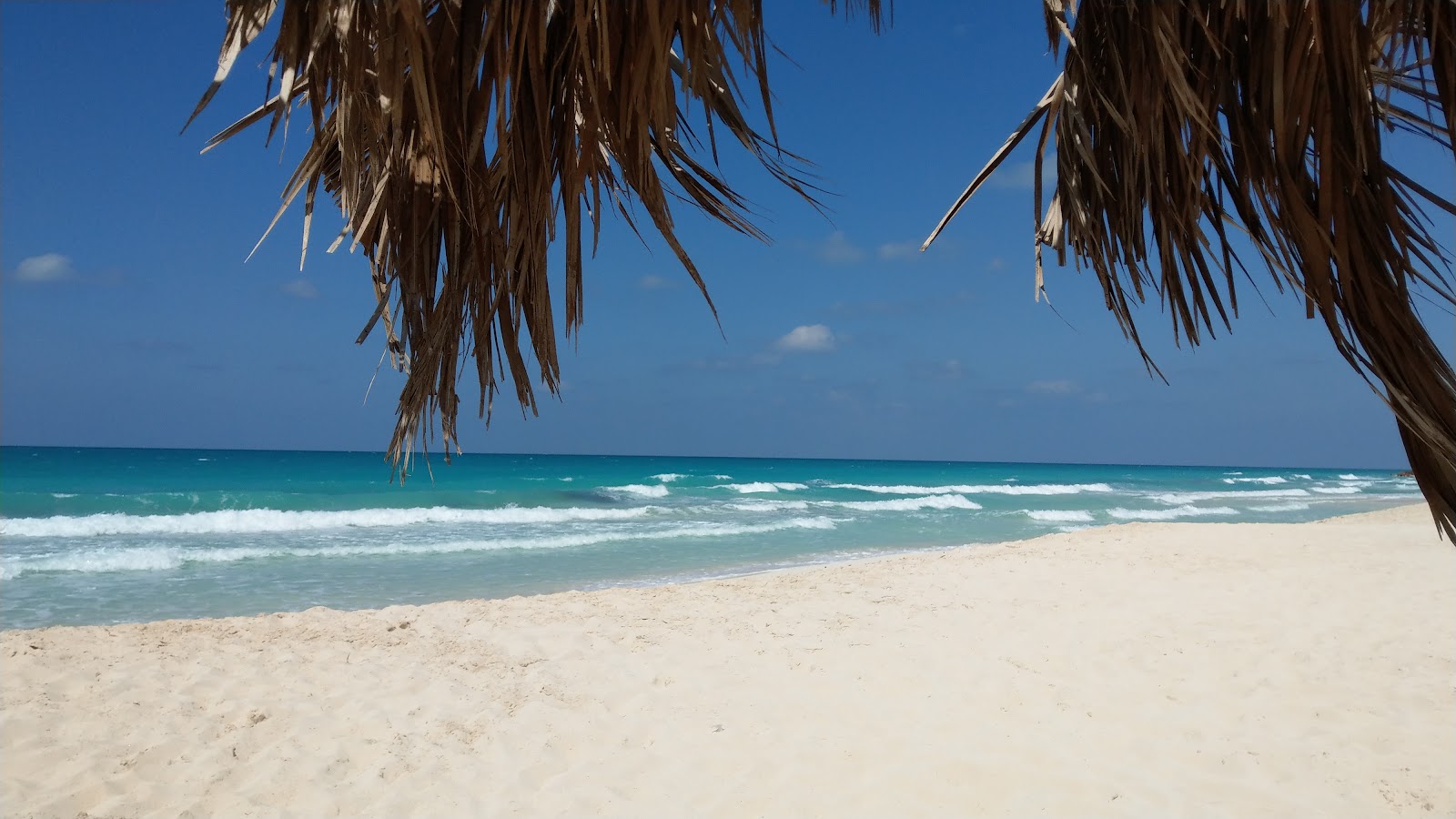 Fotografie cu El-Rowad Beach - locul popular printre cunoscătorii de relaxare