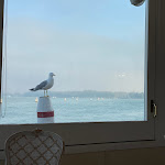 Photo n°2 de l'avis de Hans-Peter.. fait le 14/04/2022 à 21:39 sur le  Hotel Villa Laguna à Lido