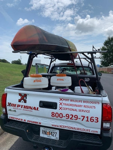Animal Control Service «Xceptional Wildlife Removal», reviews and photos