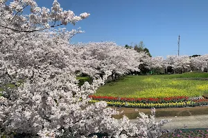 Nakaoyama Park image