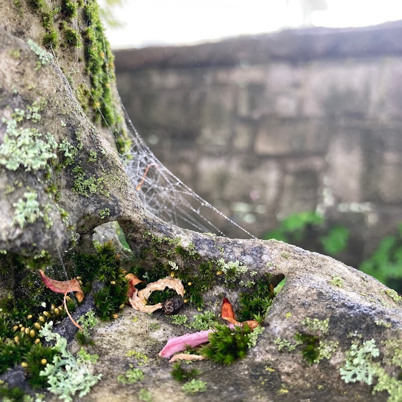 Peirce-Spencer Cemetery Lot