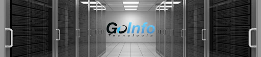 Logo da empresa - GoInfo Tecnologia e Informática
