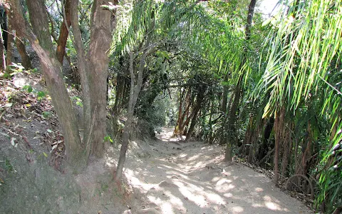 Ecological Park of Matao image