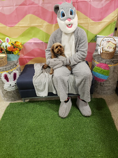 Pet Supply Store «PetSmart», reviews and photos, 2865 Oak Valley Dr, Ann Arbor, MI 48103, USA