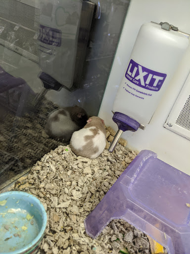 Pet Supply Store «Petco Animal Supplies», reviews and photos, 16710 Royalton Rd, Strongsville, OH 44136, USA